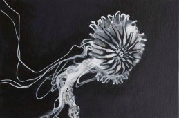 Michaela Wuehr- Jellyfish