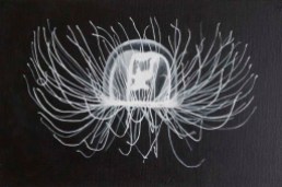 Michaela Wuehr - Jellyfish -380Euro - 30x20cm