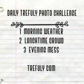 Trefuly Daily Photo Prompt Day 1